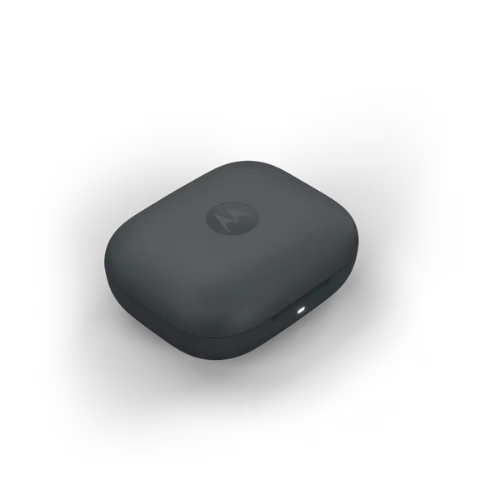 MOTOROLA moto Buds BASS PantoneDarkShadow