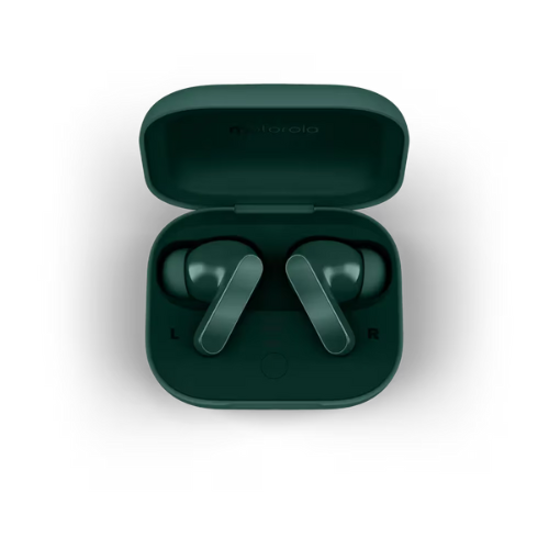 MOTOROLA moto Buds BASS PantonePosyGreen
