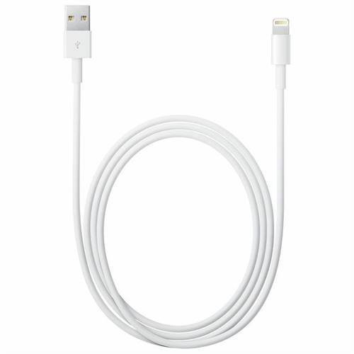 APPLE Cavo USB/Lightning MD819ZM/A